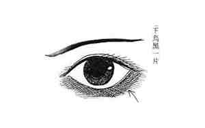 眼眶黑的女人