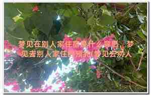 梦见去别人住处