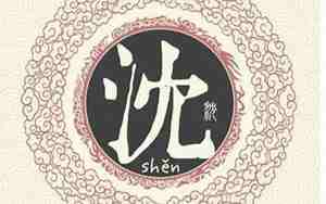 姓沈的名字女孩