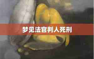 梦见别人死刑犯被执行