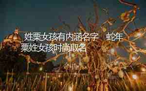 栗姓取名两个字的名字