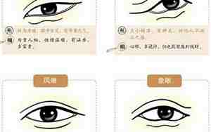 眼角面相分析