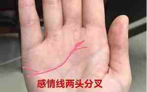会嫁好老公的手相男人