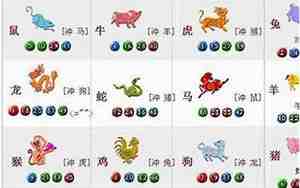 属虎和属羊的合不合