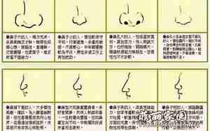 蝙蝠鼻子图片