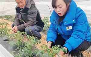 发家女人面相
