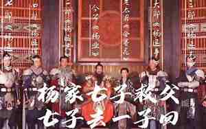 杨家七子武力排行