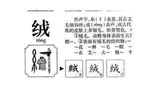 绒起名字