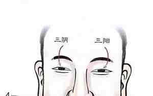 监察官的面相分析