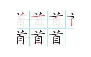 首笔顺怎么写