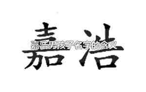 精神可嘉什么意思