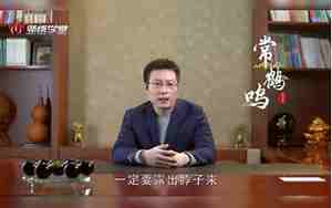 讲面相的视频
