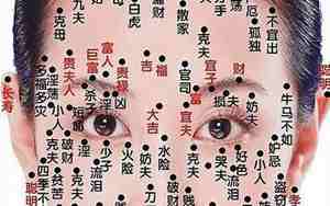 心理虚伪的面相女图片
