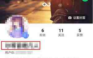 快手怎么改名字和昵称改不了