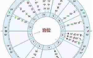 怎么查自己的星盘十二宫
