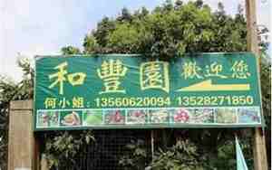 给自家果园取名字