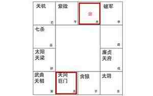 命主巨门身主天同代表什么