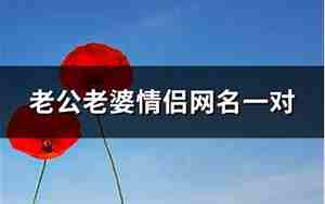 老公老婆网名昵称一对