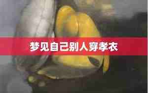 梦见看见别人穿孝衣有什么征兆