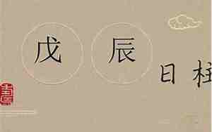 戊辰日柱女命婚姻详解
