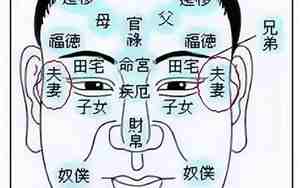 道家看40岁面相详解图