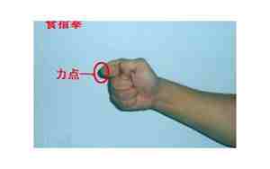 凤眼拳正确握法图片