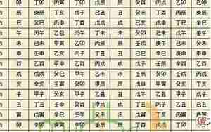 癸丑日柱男命2025年运势