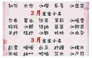 怪物猎人取名字
