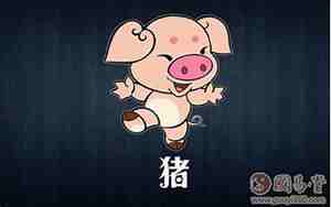 属猪的人取名字