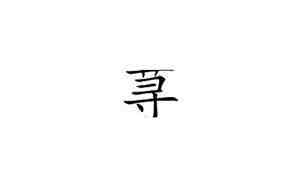 荨字取名的寓意女孩