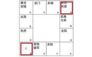 天同天梁在命宫