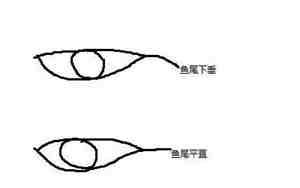 鱼尾纹在相学上有什么说法