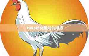1993年属鸡的姻缘在哪年