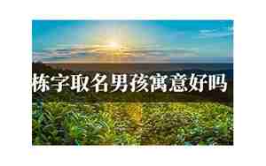 栋字取名的寓意男孩
