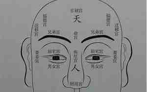 面相重要么