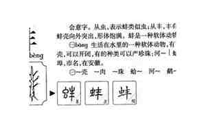 蚌起名