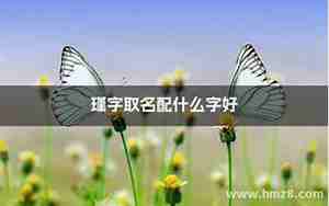 带瑾的女孩名字大全