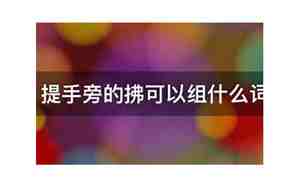 堤可以组什么词