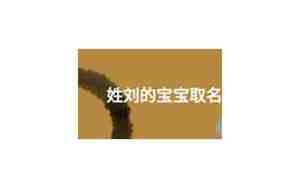 刘宝宝取名字大全男孩