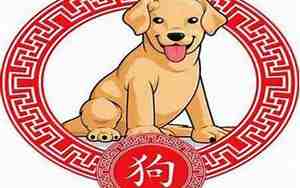 属狗是哪年出生的多少岁
