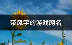 带风字的游戏名字2个字