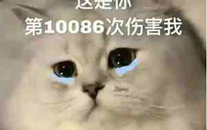 我的任性伤害了男朋友英文