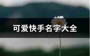 快手名字大全女生