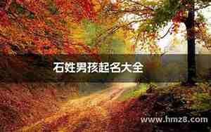石姓男孩名字大全