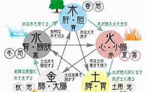 卯五行属阴木还是阳木