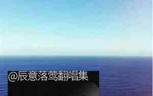金迷林