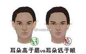 耳平于眼的面相是什么