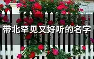 带北罕见又好听的名字女