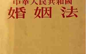 新的婚姻法规定2025年