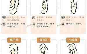 拍照看不见耳朵面相学